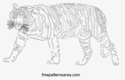 Clipart Tiger Pdf - Siberian Tiger, HD Png Download, Transparent PNG