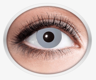 Grey Contact Lenses - Eyes Lens Golden Png, Transparent Png, Transparent PNG