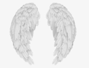 Angel Wings Png Baby Angel Wings Background - Transparent Background Angel Wings Png, Png Download, Transparent PNG