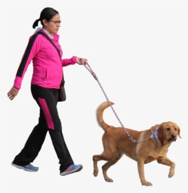 Transparent Walking Dog Png - Person Walking Dog Png, Png Download, Transparent PNG