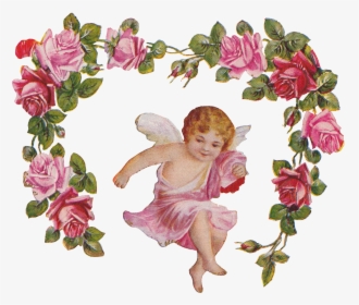 Cherub Angel Roses Vintage - Flower Frame No Background, HD Png Download, Transparent PNG