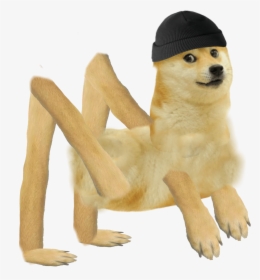 Doge Png Images Transparent Doge Image Download Page 2 Pngitem - every doge holder is going to make it id de imagens roblox hd png download 1413x712 1992492 pngfind