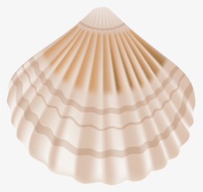 Seashell Png Clip Art - Transparent Background Clipart Transparent Seashells, Png Download, Transparent PNG