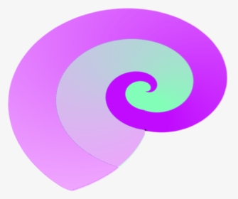Seashell - Circle, HD Png Download, Transparent PNG