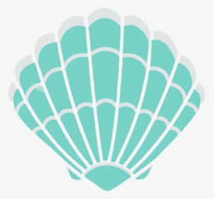 Seashell Clam Mollusc Shell Clip Art - Transparent Background Sea Shell Clip Art, HD Png Download, Transparent PNG