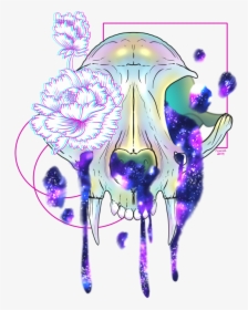 Cat Skull - Illustration, HD Png Download, Transparent PNG