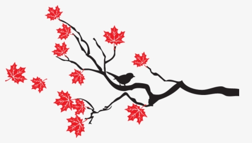 Maple Tree Branches And Leaves - Maple Tree Branch Silhouette, HD Png Download, Transparent PNG