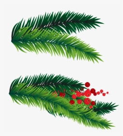 28 Collection Of Christmas Tree Branches Clipart - Christmas Tree Branch Png, Transparent Png, Transparent PNG