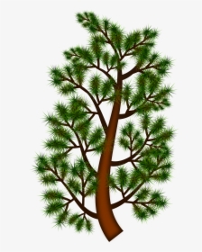 Clip Art Pine Tree Branch - Clip Art, HD Png Download, Transparent PNG