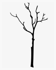 Silhouette Twig Clip Art - Silhouette Tree Branch Clipart, HD Png Download, Transparent PNG