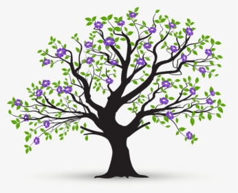 Tree,branch,plant,woody Art,plant - Molave Tree Clip Art, HD Png Download, Transparent PNG