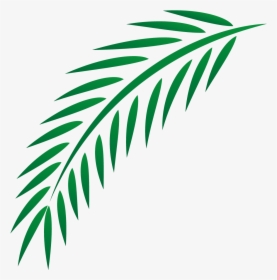 Euclidean Easter Leaves Transprent - Palm Branch Leaf Clip Art, HD Png Download, Transparent PNG