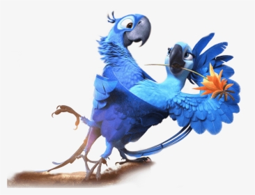 Desenho Arara Azul Filme Rio, HD Png Download, Transparent PNG
