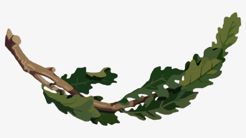 This Free Icons Png Design Of Oak Branch - Oak Tree Branch Clipart, Transparent Png, Transparent PNG