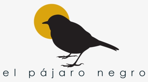Robin, HD Png Download, Transparent PNG