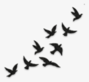 Flying Silhouette Birds Drawing, HD Png Download, Transparent PNG