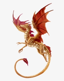 T-shirt Dragon Fantasy - Transparent Background Transparent Dragon, HD Png Download, Transparent PNG
