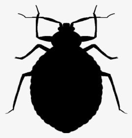 Bugs Silhouette At Getdrawings - Bed Bug Vector Png, Transparent Png, Transparent PNG