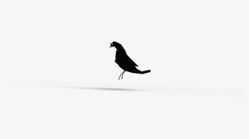 Blackbird, HD Png Download, Transparent PNG