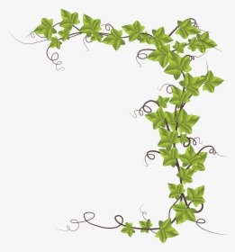Ivy Vine Silhouette, HD Png Download, Transparent PNG