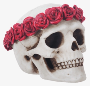 Skull With Flower Crown, HD Png Download, Transparent PNG