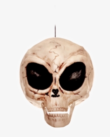 Alien Skull Png, Transparent Png, Transparent PNG