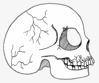 #skull #gothic - Skull, HD Png Download, Transparent PNG