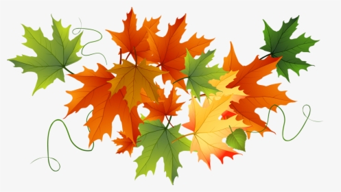 Falling Leaves Transparent Png - Transparent Background Fall Leaves Clipart, Png Download, Transparent PNG