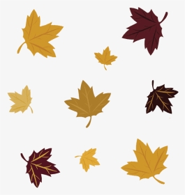 Transparent Fall Leaves Falling Png - Maple Leaf, Png Download, Transparent PNG