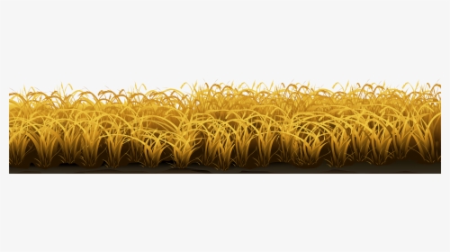 Transparent Wheat Png - Transparent Yellow Grass, Png Download, Transparent PNG