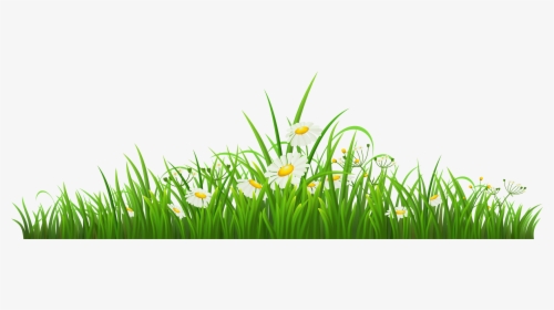 Transparent Grass With Chamomile Png Clipart - Butterfly Cartoon Gif Transparent, Png Download, Transparent PNG