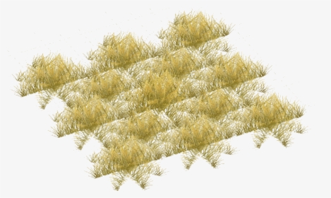 Transparent Yellow Grass Png - Savannah Grass Png, Png Download, Transparent PNG