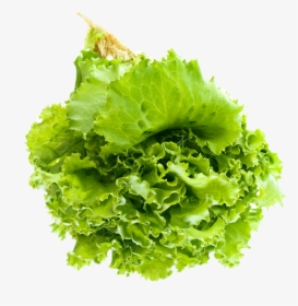 Salad Leaf Png Image - Transparent Background Lettuce Png, Png Download, Transparent PNG