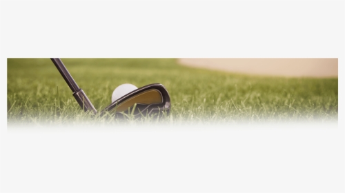 Hole In One - Grass, HD Png Download, Transparent PNG
