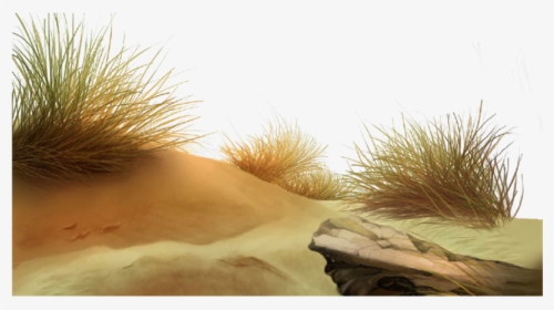 #desert #landscape #background #wallpaper #grass #stone - Grass Landscape Background Png, Transparent Png, Transparent PNG