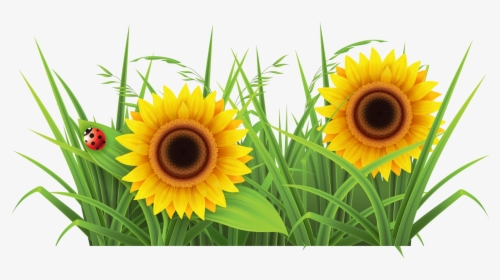 Sunflowr With Grass Png Background - Grass Clipart, Transparent Png, Transparent PNG