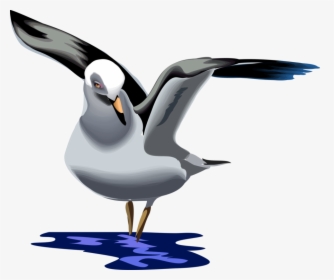 Seagull, Gull, Sea-gull, Bird, Waterfowl, Wings, Water - Animated Seagull Png, Transparent Png, Transparent PNG
