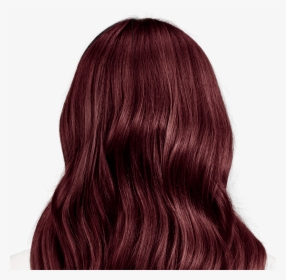 Medium Brown Hair Color, HD Png Download, Transparent PNG