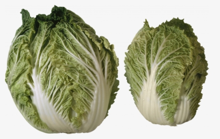 Download For Free Salad High Quality Png - Different Heads Of Lettuce, Transparent Png, Transparent PNG