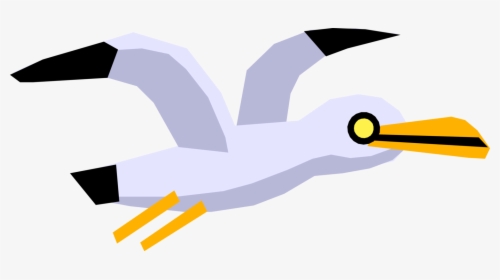 Vector Illustration Of Cartoon Feathered Vertebrate - Seabird Cartoon, HD Png Download, Transparent PNG