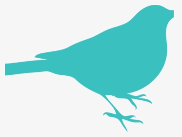 Seagull Silhouette Cliparts - Bird Silhouette Green, HD Png Download, Transparent PNG