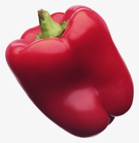 Red Pepper - Transparent Background Bell Pepper Png, Png Download, Transparent PNG