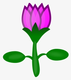 Lotus Seagull Om Svg Vector File, Vector Clip Art Svg - Cartoon Plants Transparent Background, HD Png Download, Transparent PNG