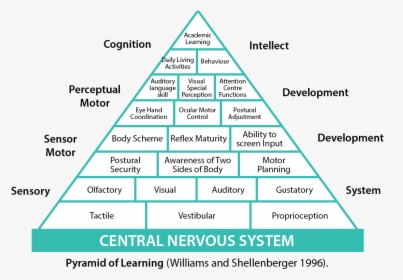 Pyramid Of Learning - Pyramid Of Learning Sensory, HD Png Download, Transparent PNG
