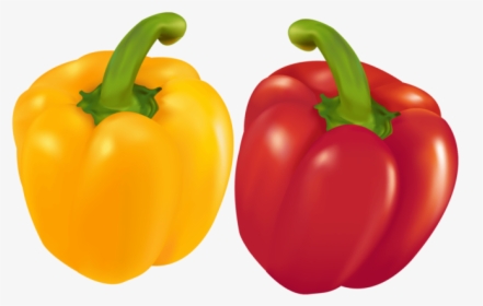 Capsicum Png Image Free Download Searchpng - Capcicum Png, Transparent Png, Transparent PNG