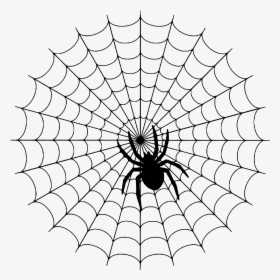 Day A Simple Web - Spider On A Web, HD Png Download, Transparent PNG