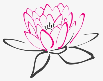 Water Lily, Flower, Pink, Lotus, Lily, Blossom, Bloom - Clear Background Flowers Cartoon, HD Png Download, Transparent PNG