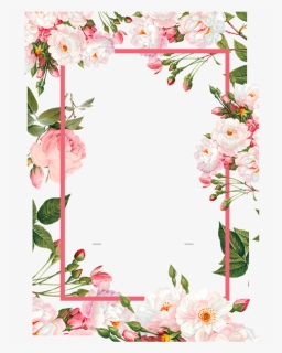 Transparent Pink Border Clipart - Floral Frames Vector Png, Png Download, Transparent PNG
