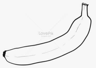 Single Line Art Bananas - Sketch, HD Png Download, Transparent PNG