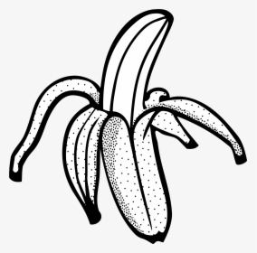 Banana Svg Clip Art - Line Drawing Of Banana, HD Png Download, Transparent PNG